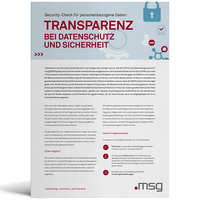 20220427 Msg Web Thumbnail Vorlage Masterdatamanagement Flyer Securitycheck